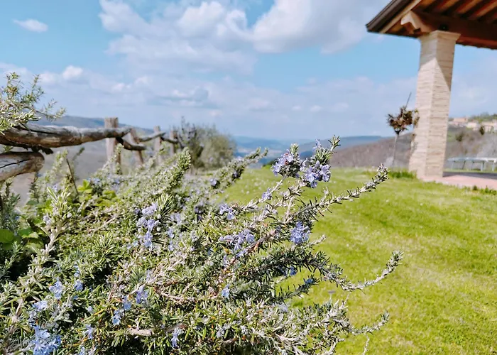 Alba dei Due Soli B&B